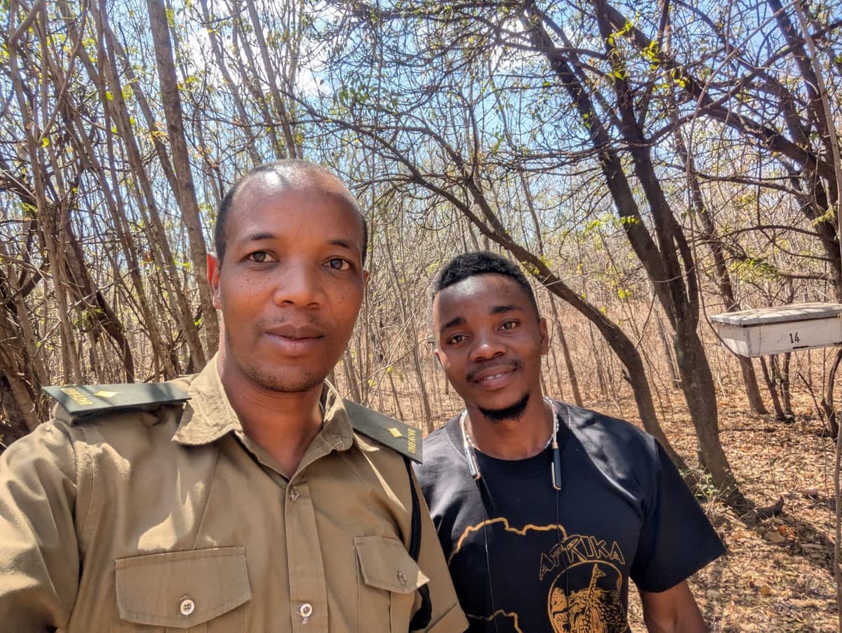 Team with beehives during forest practical